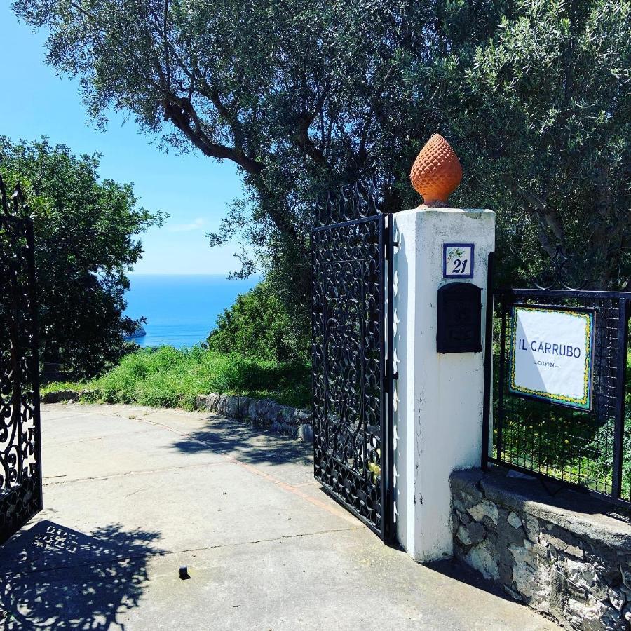 Il Carrubo Capri Guest House Anacapri  Bagian luar foto