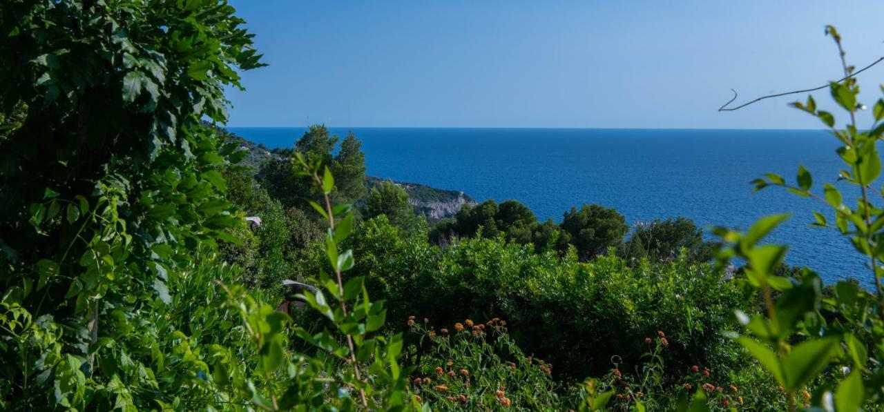 Il Carrubo Capri Guest House Anacapri  Bagian luar foto