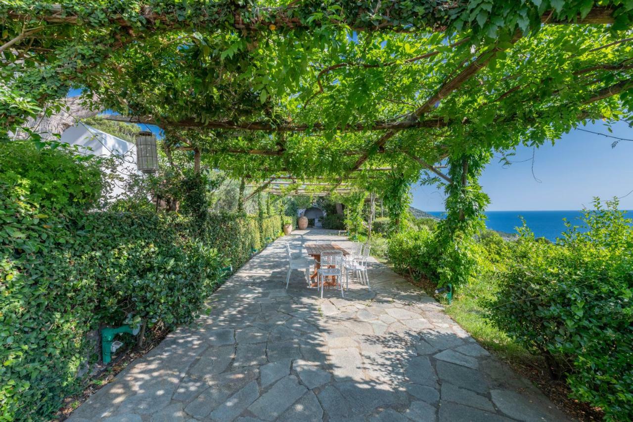 Il Carrubo Capri Guest House Anacapri  Bagian luar foto