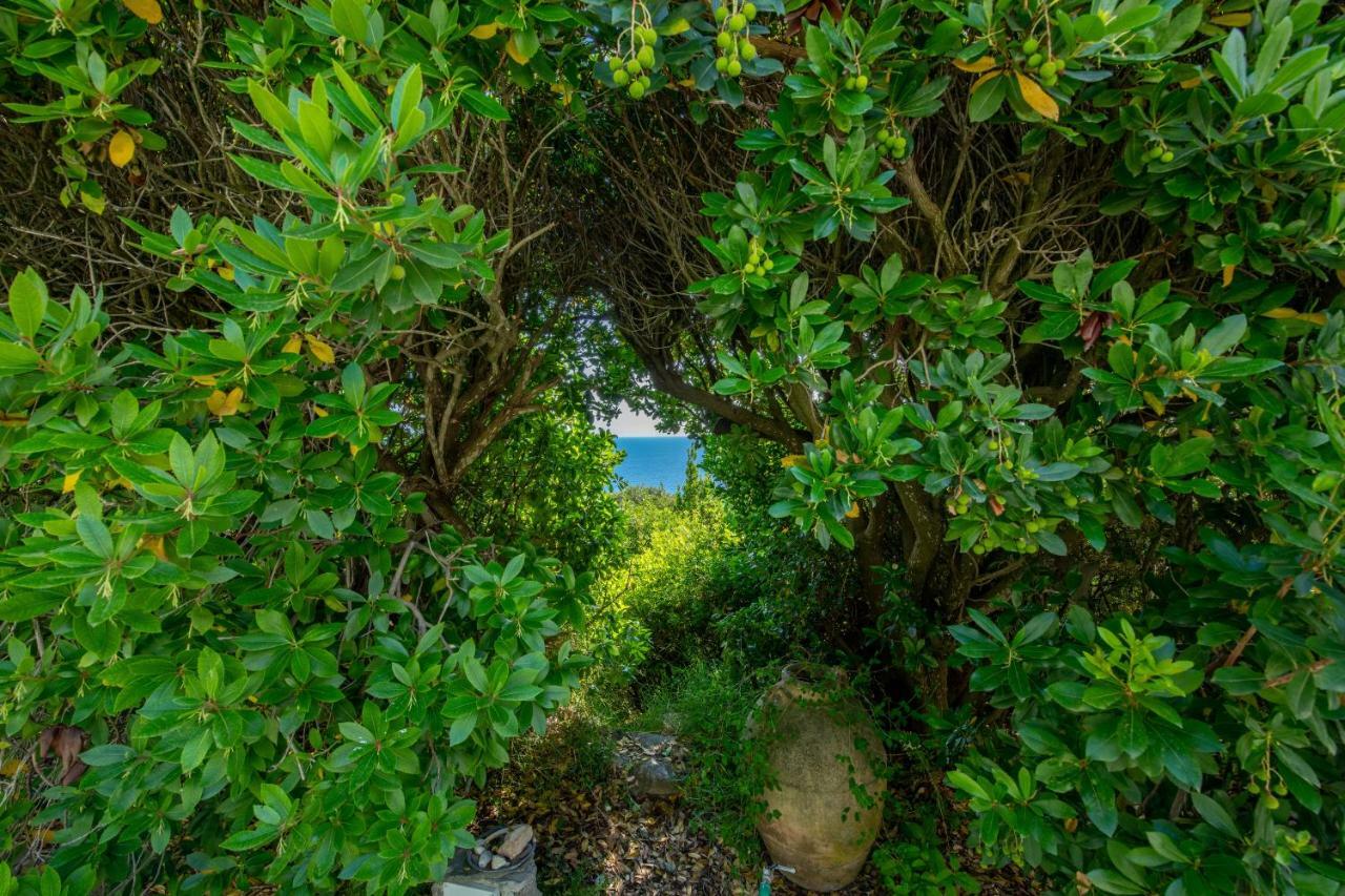 Il Carrubo Capri Guest House Anacapri  Bagian luar foto