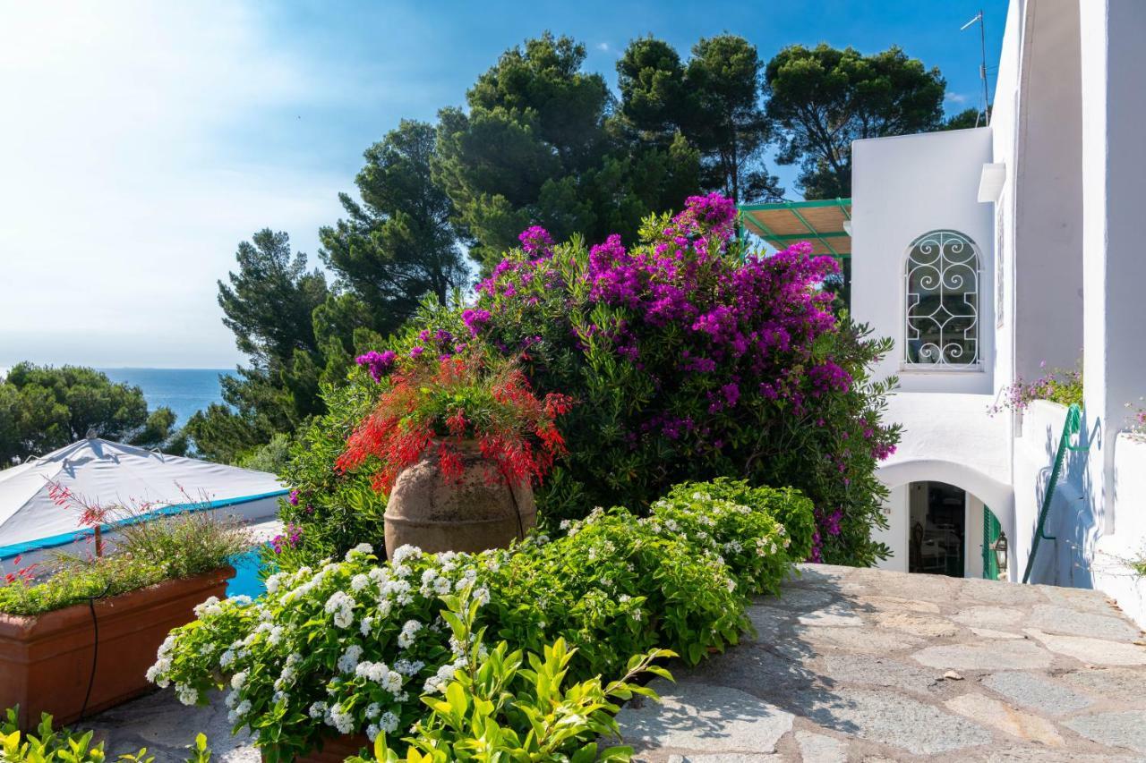 Il Carrubo Capri Guest House Anacapri  Bagian luar foto